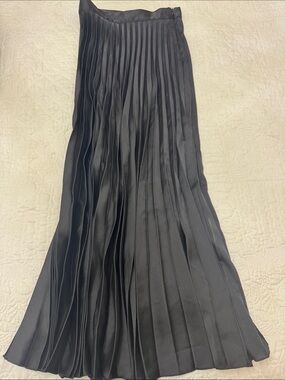 Zara Pleated Skirt